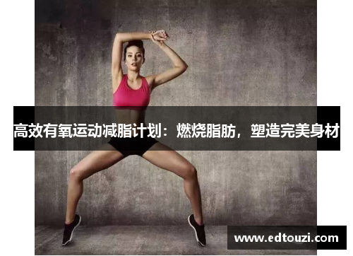 高效有氧运动减脂计划：燃烧脂肪，塑造完美身材